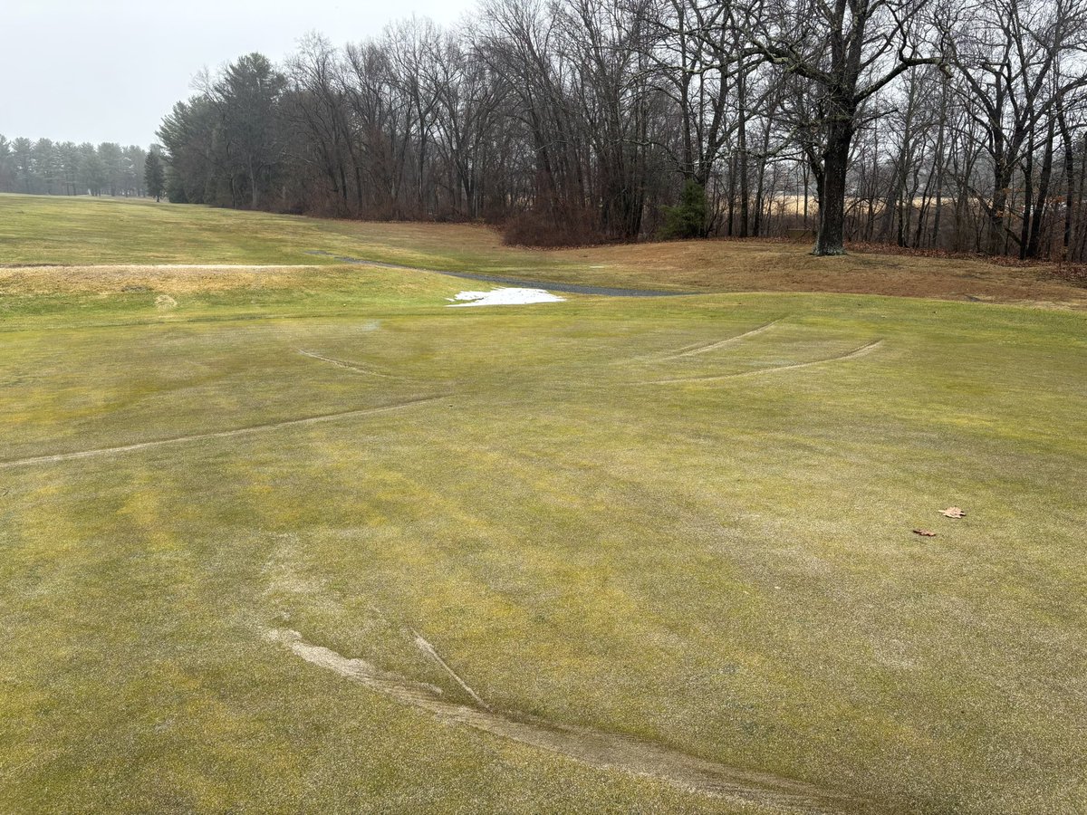 josh lennie tweet media