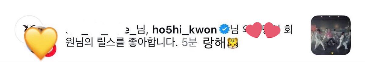 (호)랑해🐯 tweet media