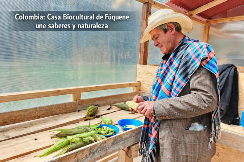 Colombia Belleza Pura tweet media