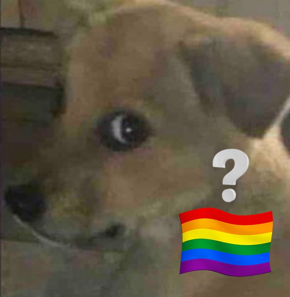 iban duke tweet media