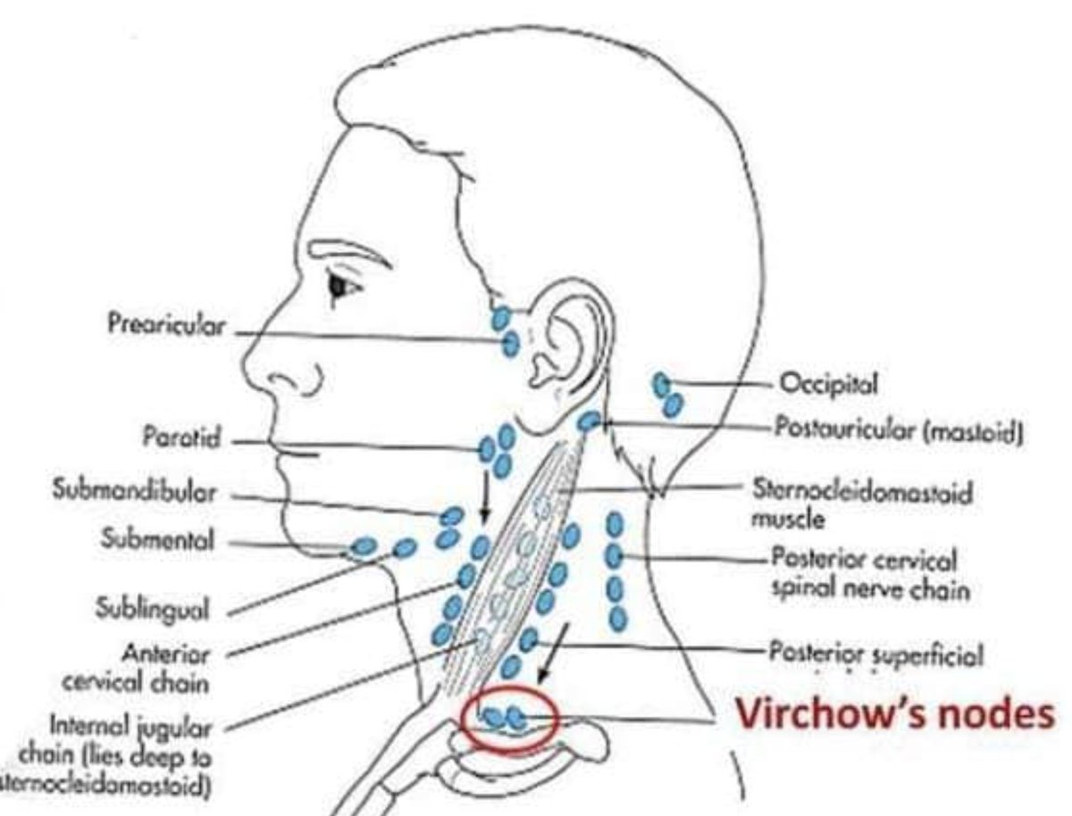 StudyXing Medicine tweet media