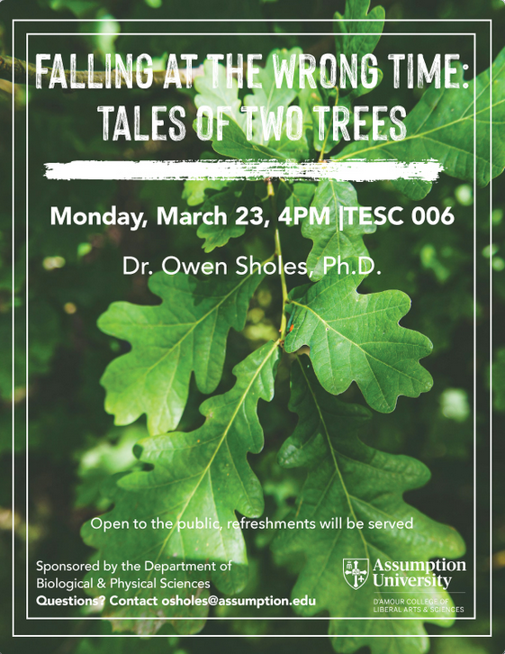 Assumption University DCLAS tweet media