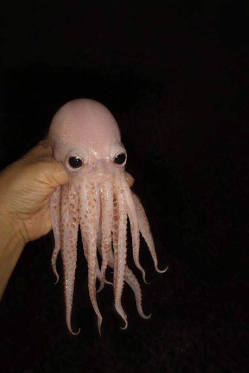 Not Games tweet media