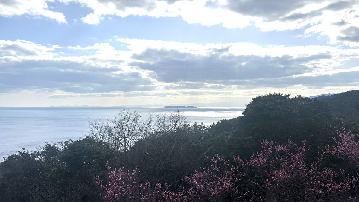 あわじ国応援隊 tweet media