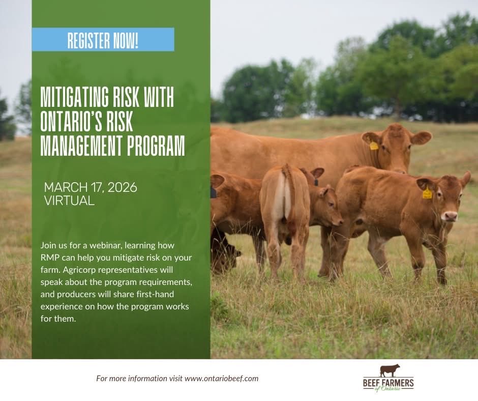 Beef Farmers of Ontario tweet media