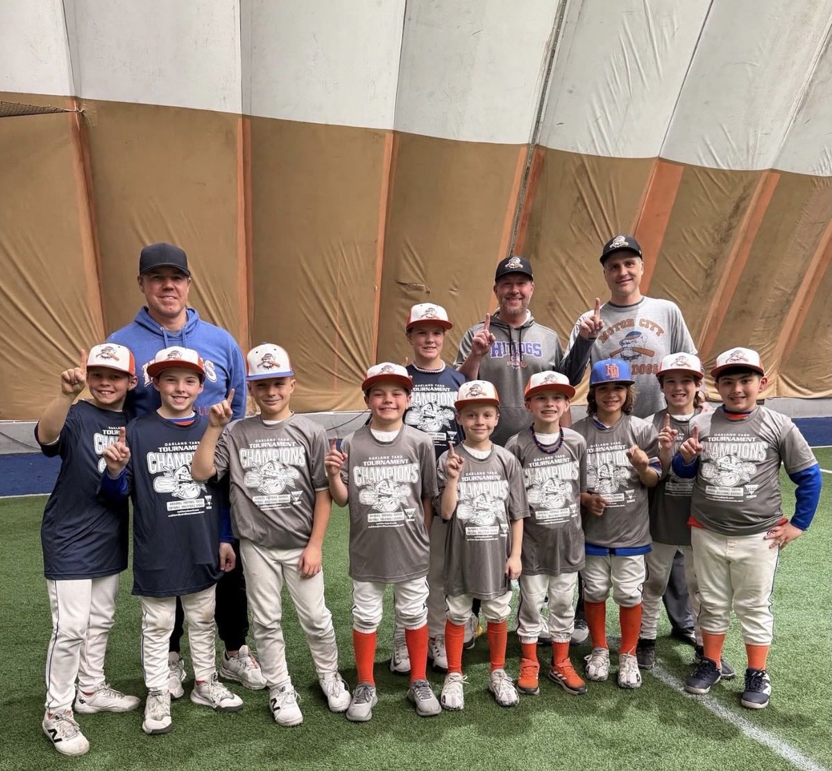 OfficialHitDogs tweet media