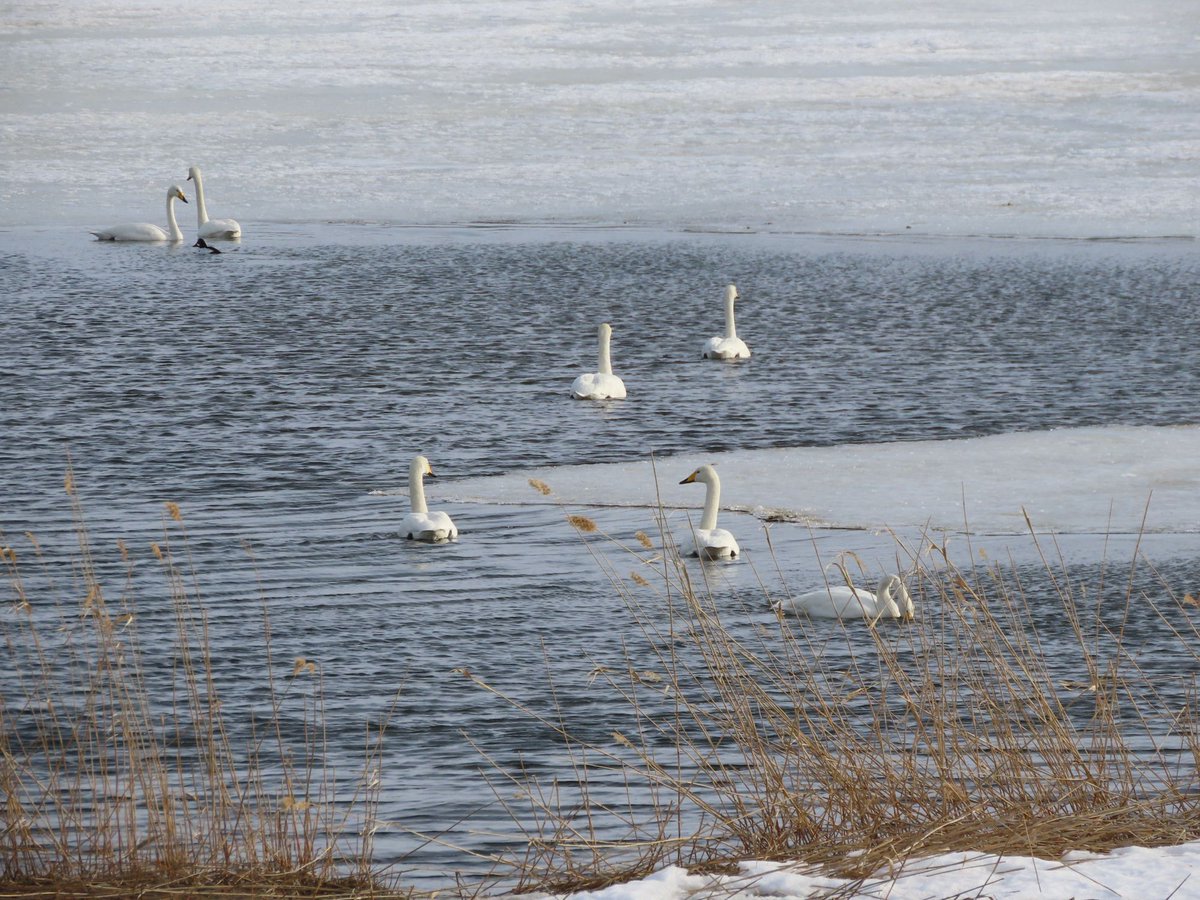 Kyoko⌘ tweet media