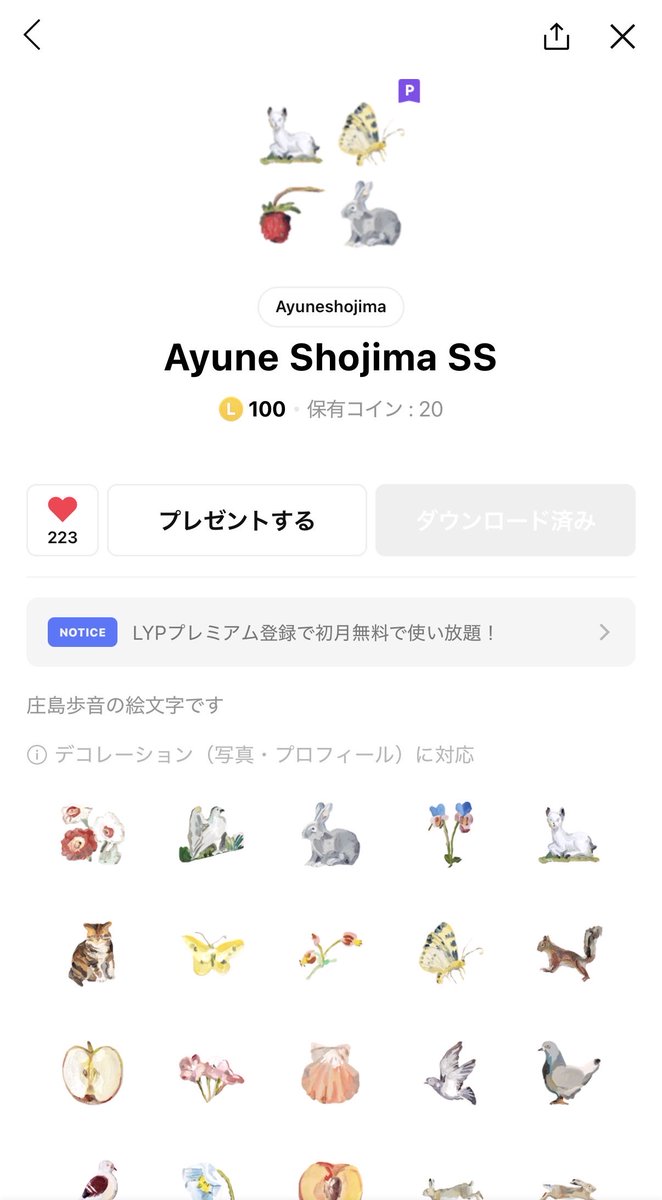 Paniyolo | パニヨロ tweet media