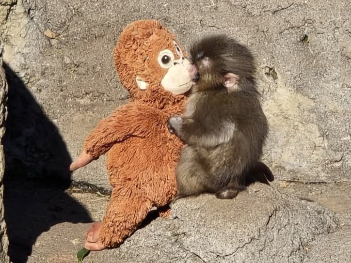 ねぇかわいい🥺💗💗💗