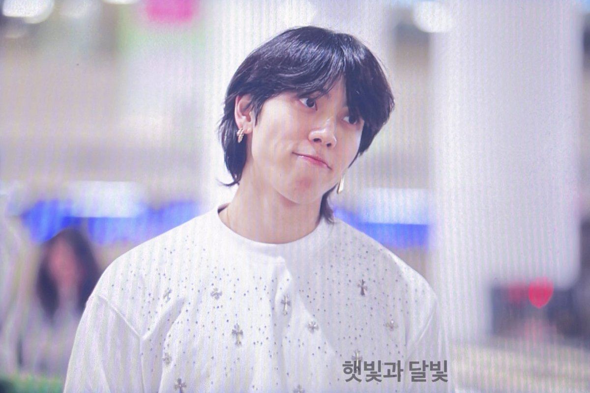 햇빛과 달빛 tweet media