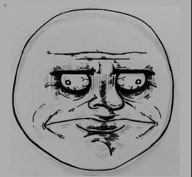 the catshake tweet media