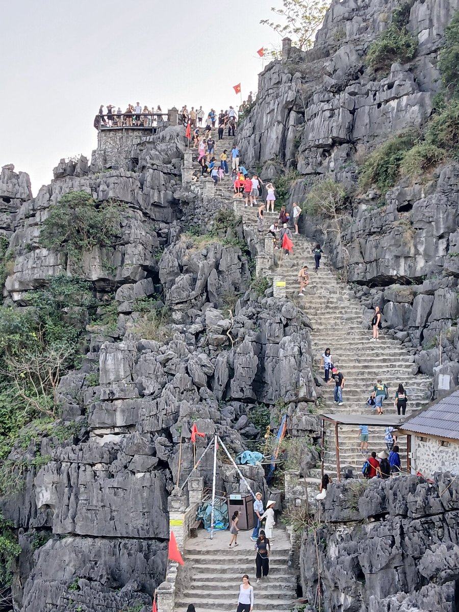 V(B)iajero Insatisfecho tweet media