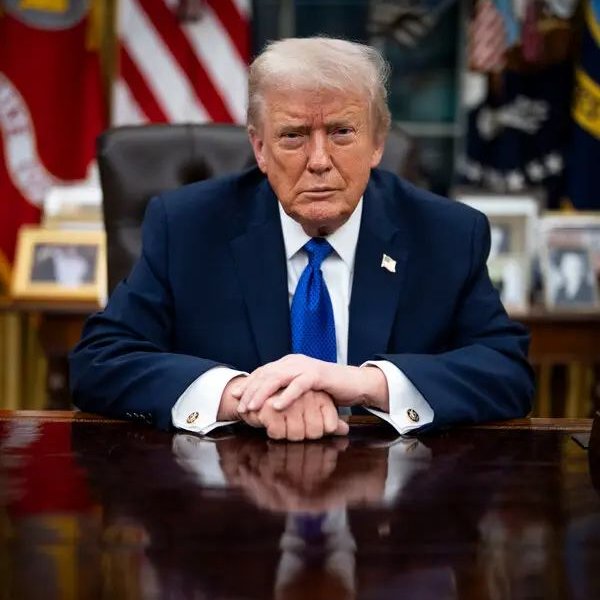 Bull Theory tweet media