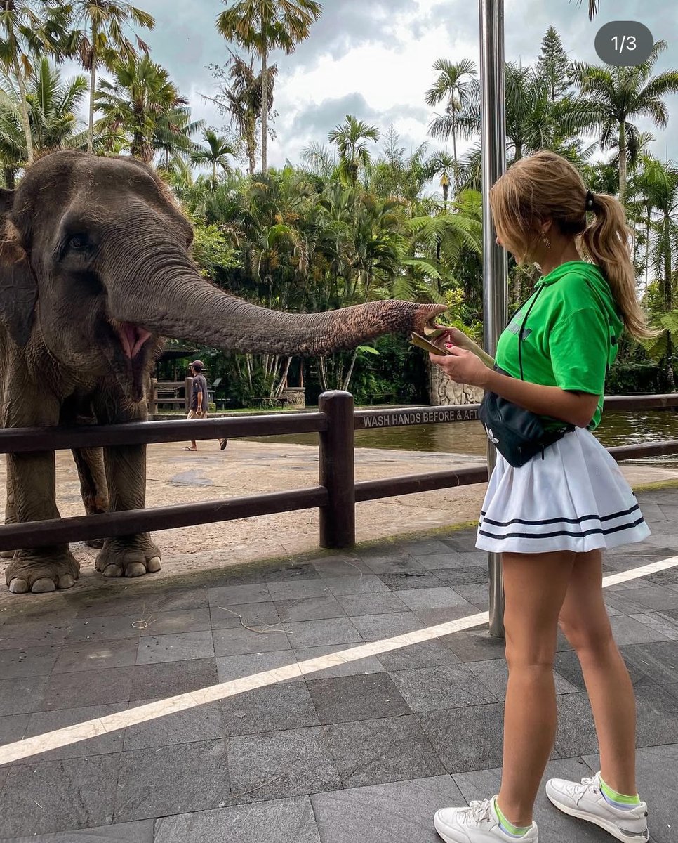 флансu ✞ tweet media