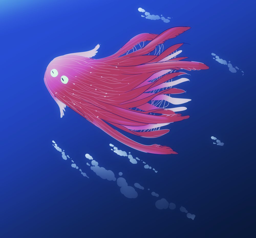 공연히 tweet media