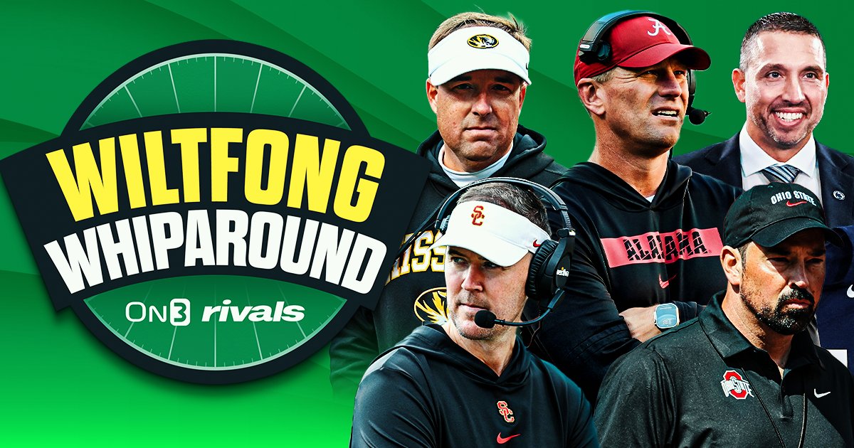 Steve Wiltfong tweet media