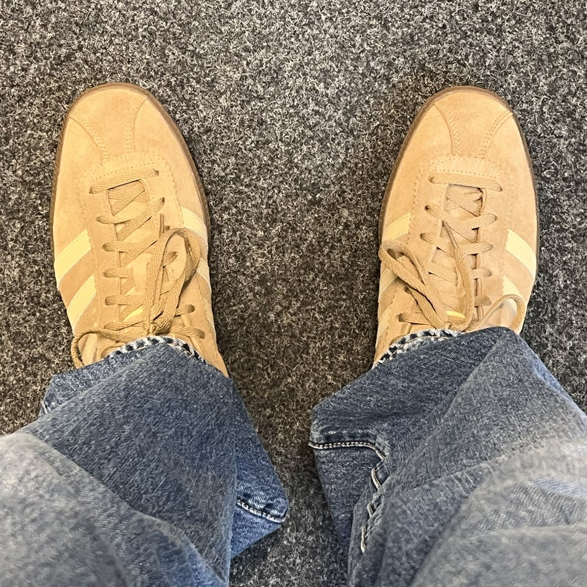 kingcibo tweet media