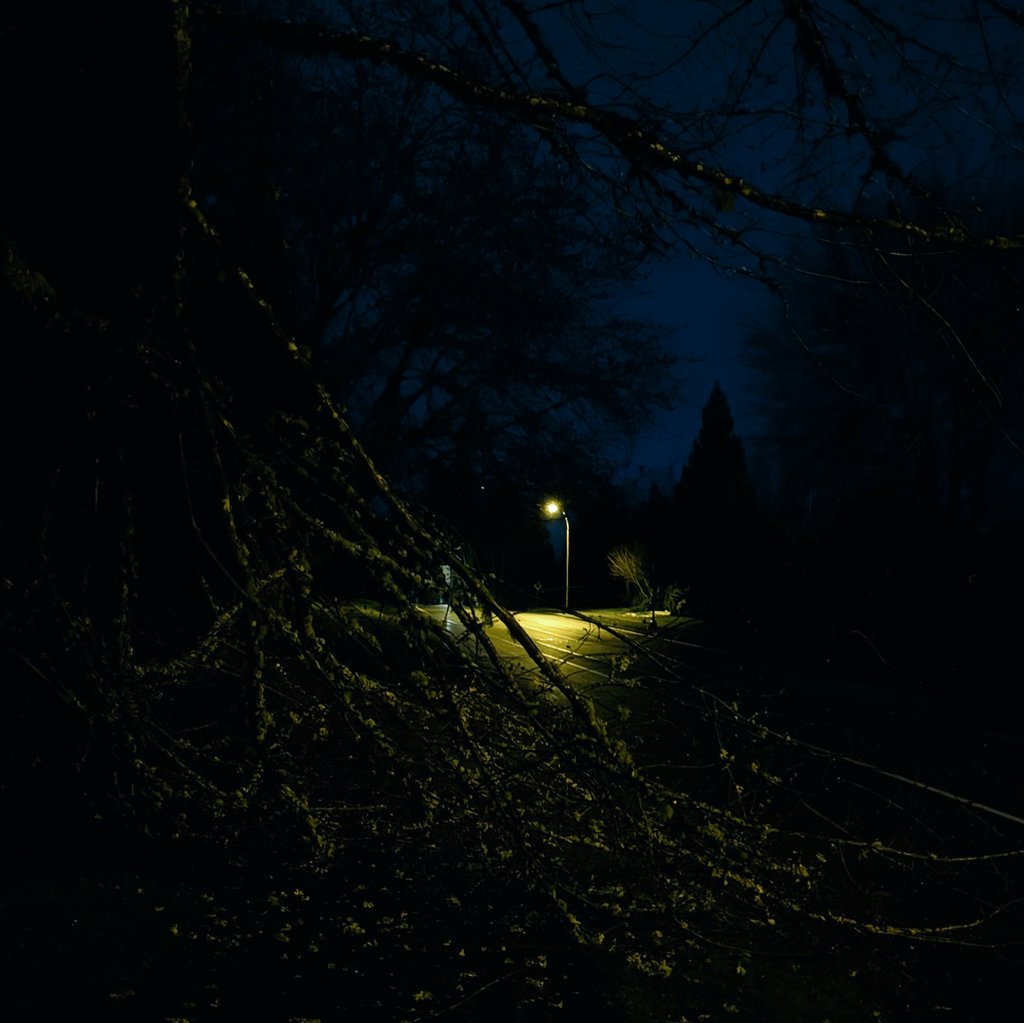 The Questing Geek tweet media