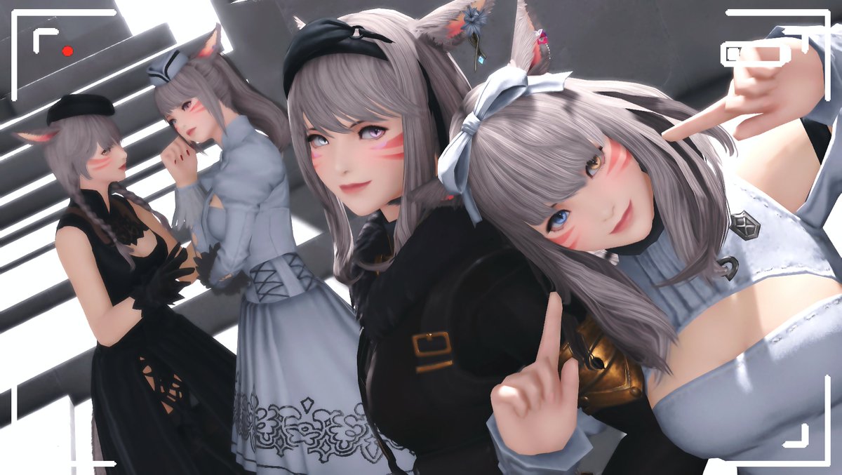 Whize° ~~◖ฅ⚆ᴥ⚆◗ฅ• tweet media