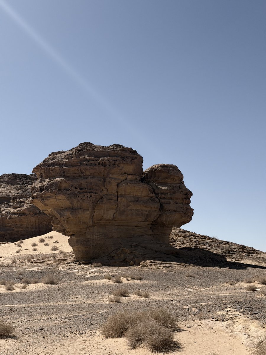 Anirban chowdhury tweet media