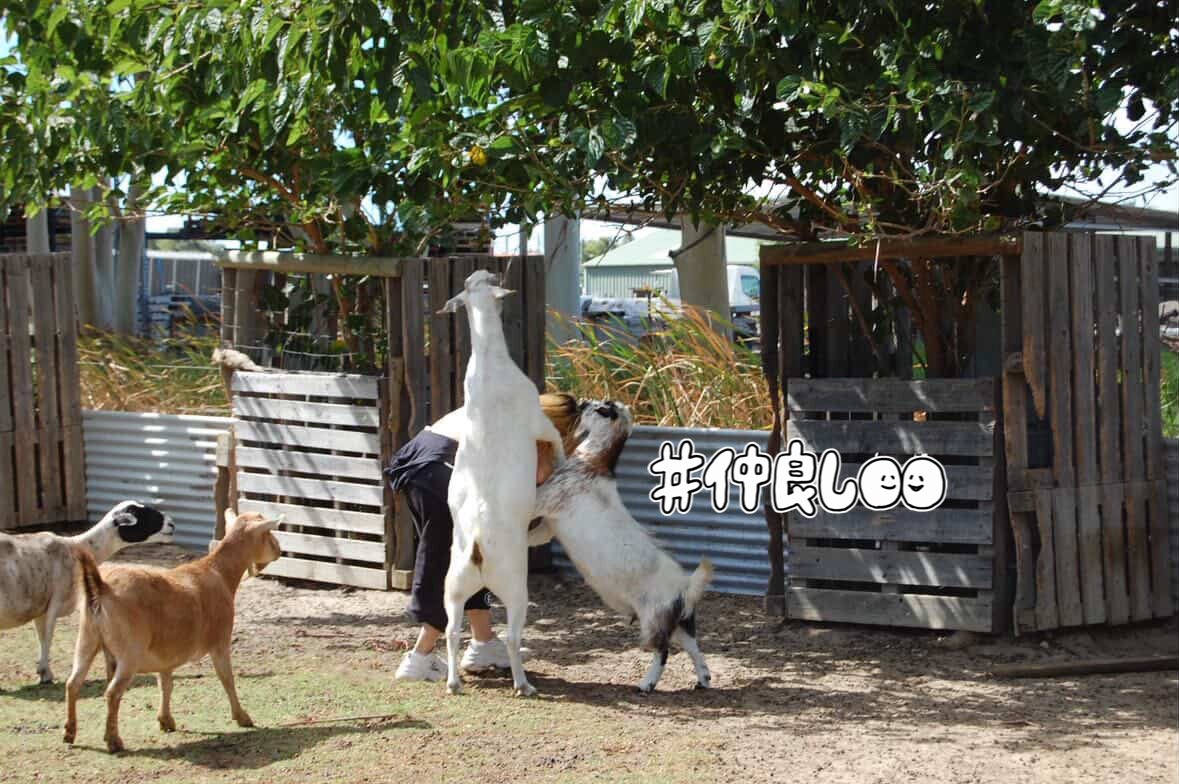 I miss you guys so much...🥹🤍寂しいけどほんとに幸せだったから、いい時間だったなってෆ˚*人生で一番幸せな1年だった😌