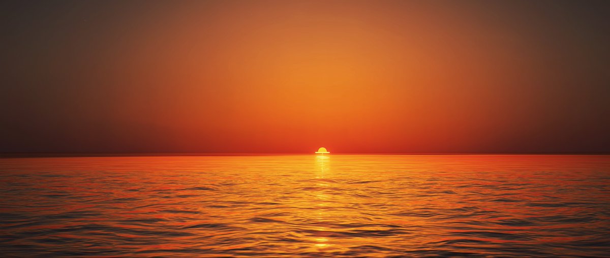 Ari 📷 tweet media