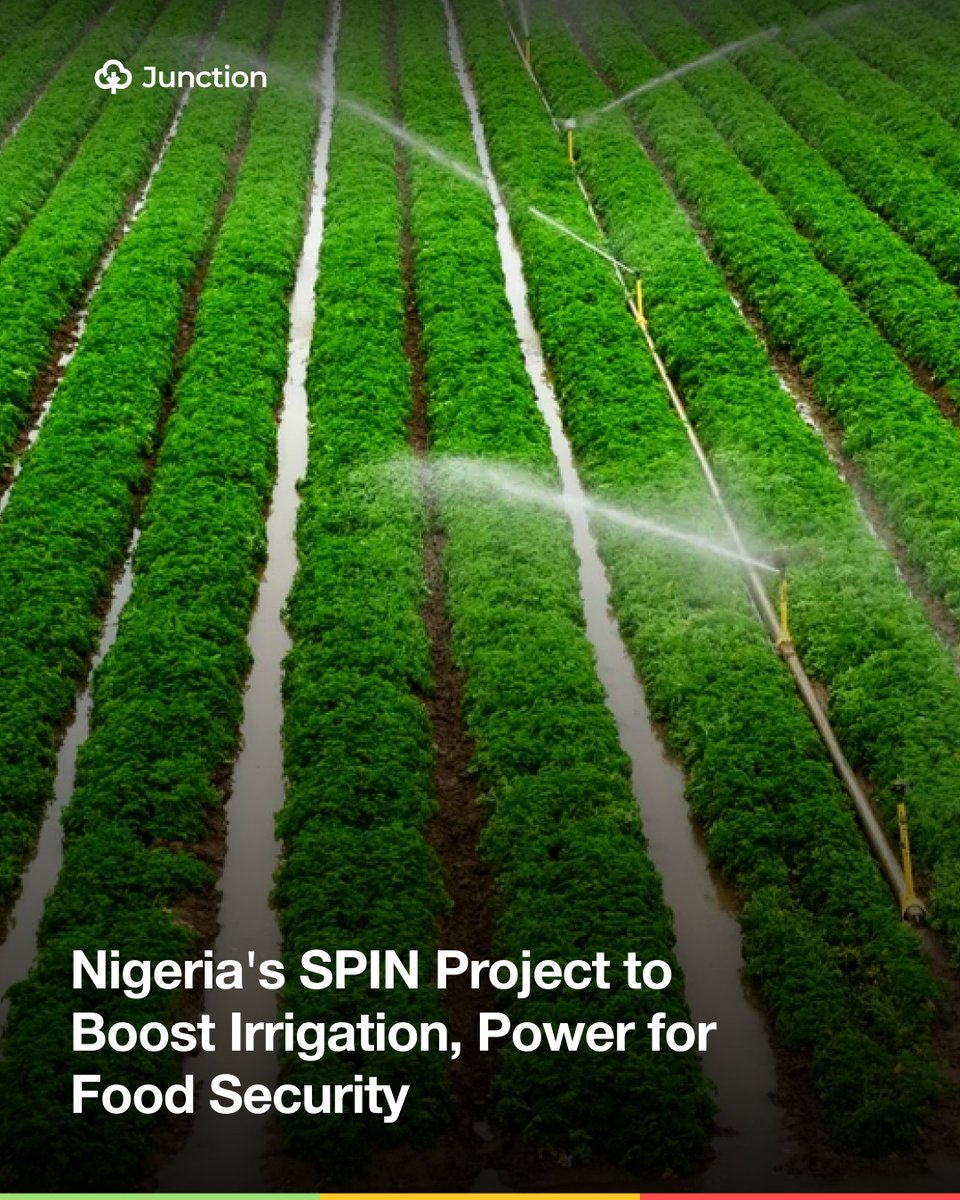 AgricJunction's tweet photo. 💧⚡ Nigeria launches $500m SPIN initiative to modernise irrigation and integrate power for year-round farming.

The World Bank-backed project aims to boost food production, hydropower, and rural economies.

Read more via the link in bio. https://t.co/Z7kh9dqkbT