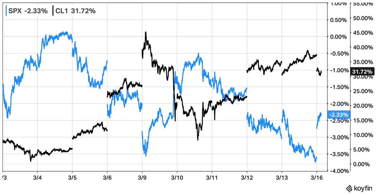 Kit Winder, CFA tweet media