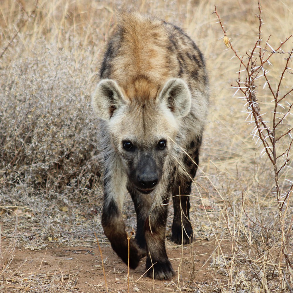 ShutterVista Photography tweet media