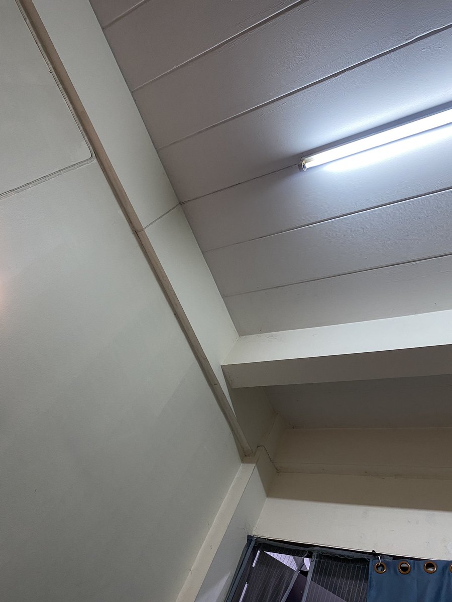 มาย มิ้น tweet media