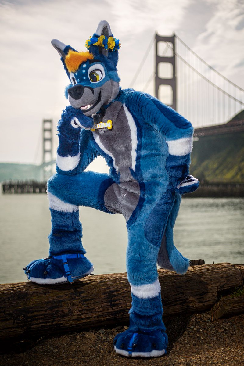 𝙑𝙚𝙭𝙩𝙧𝙪𝙢 💙 tweet media