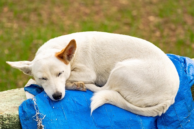 James Guliford tweet media