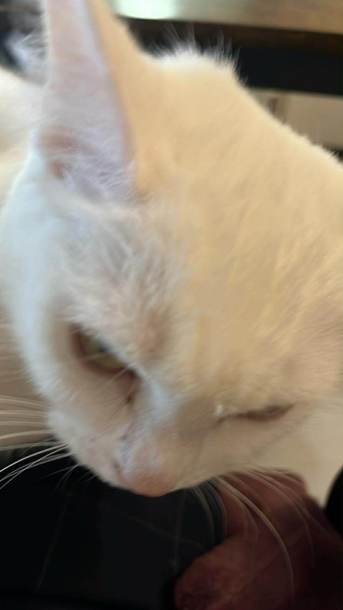 Not From This Galaxy #NFTG Records tweet media