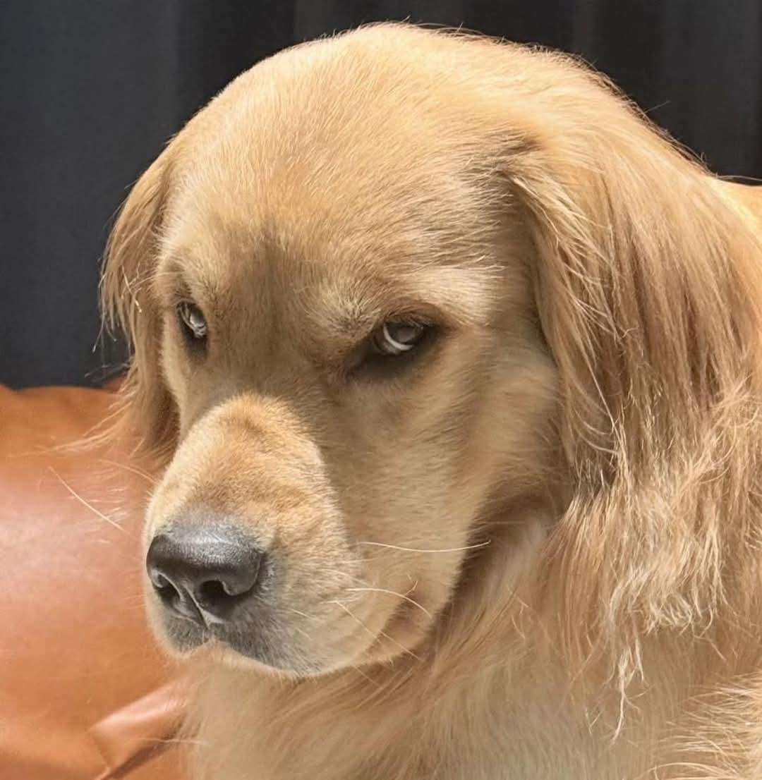 Cómo va su Lunes? 
Yo ya estoy harto.