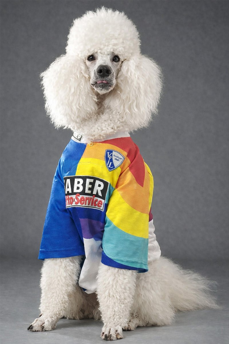 Gonnek1848 tweet media