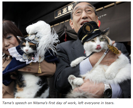 Jason Farrell tweet media