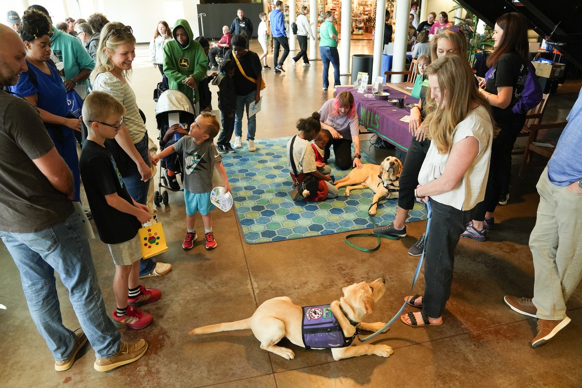 BHDDOIDD tweet media