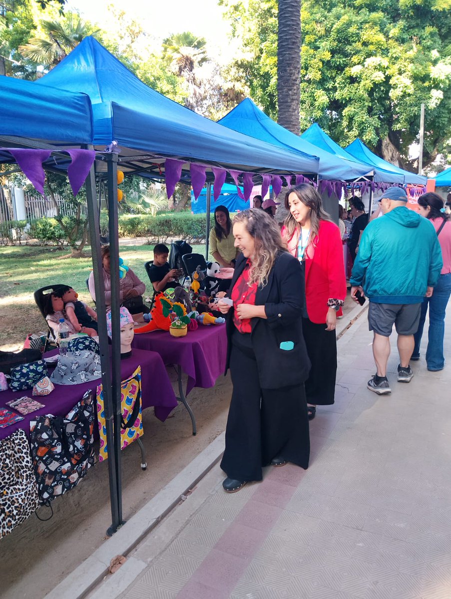 La directora regional participó en actividad de conmemoración del Día Internacional de la Mujer organizada por Municipalidad de Viña del Mar en el Palacio Rioja.

En la jornada entregó saludo a las asistentes y recorrió la feria de emprendedoras instalada en el patio del recinto