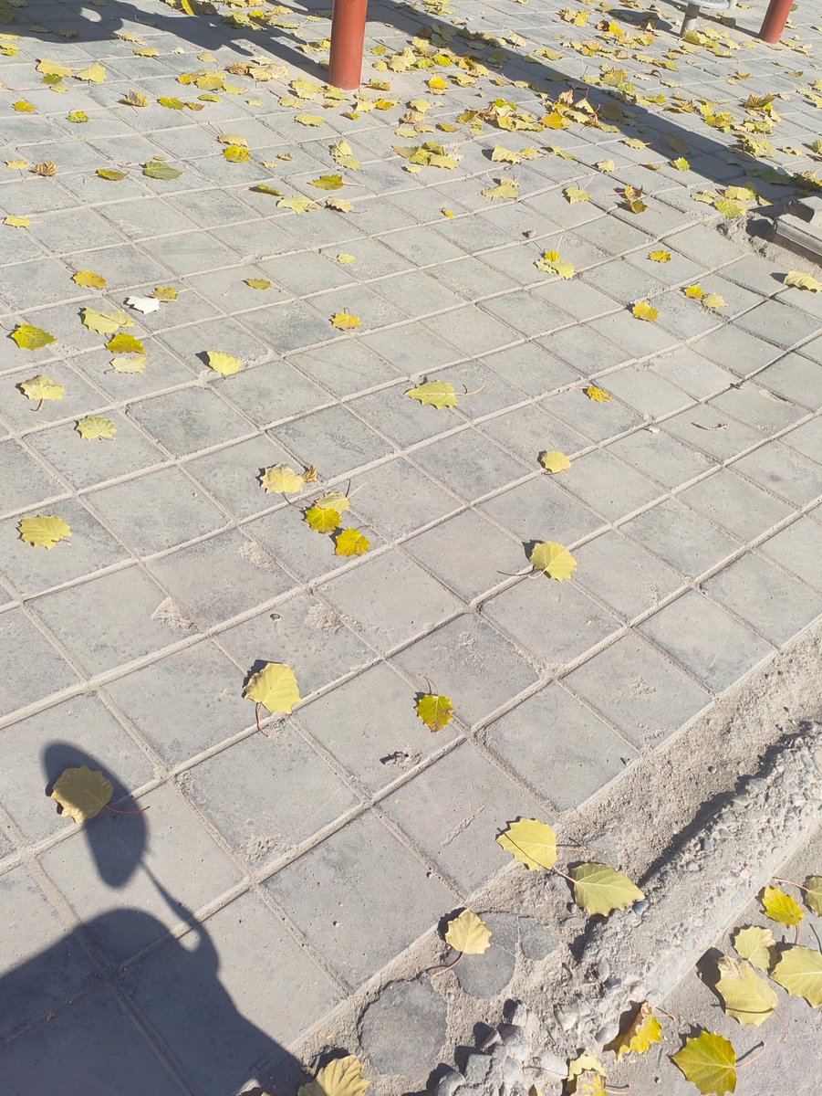 NIK /secretary tweet media