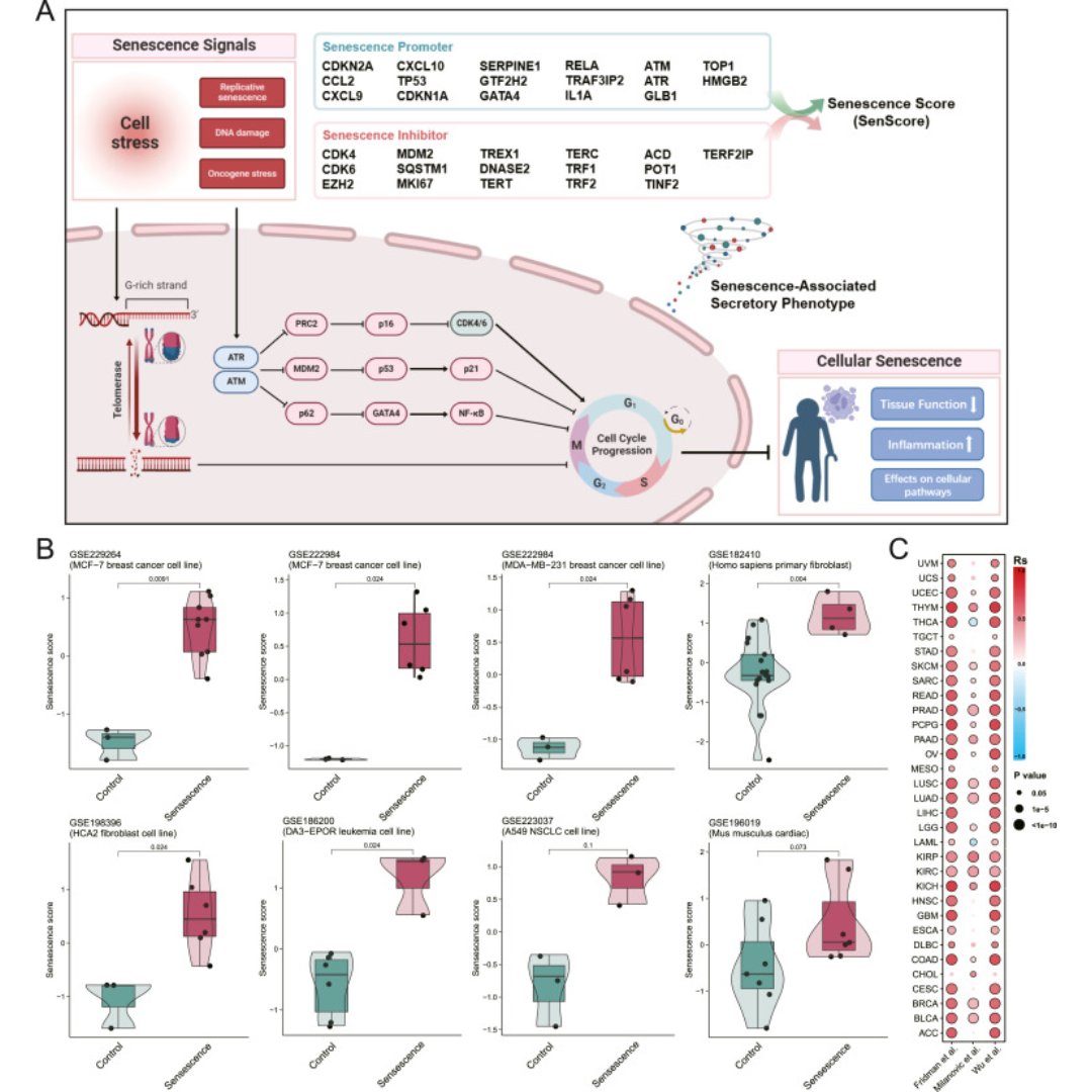 Genes & Diseases Journal tweet media