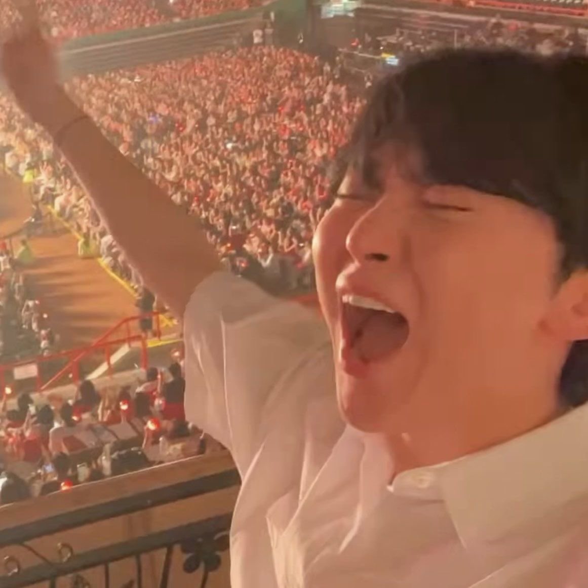 ぶーちゃん tweet media