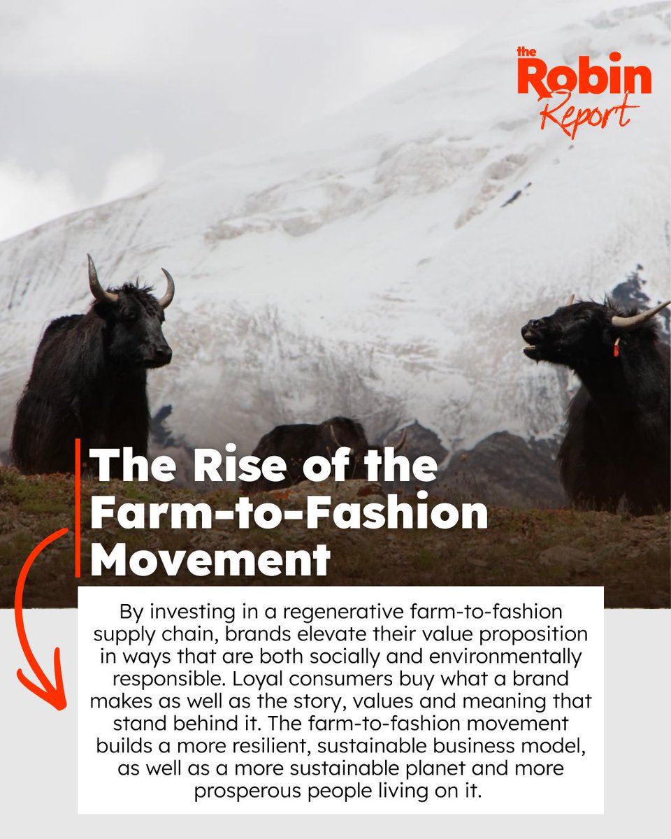 The Robin Report tweet media