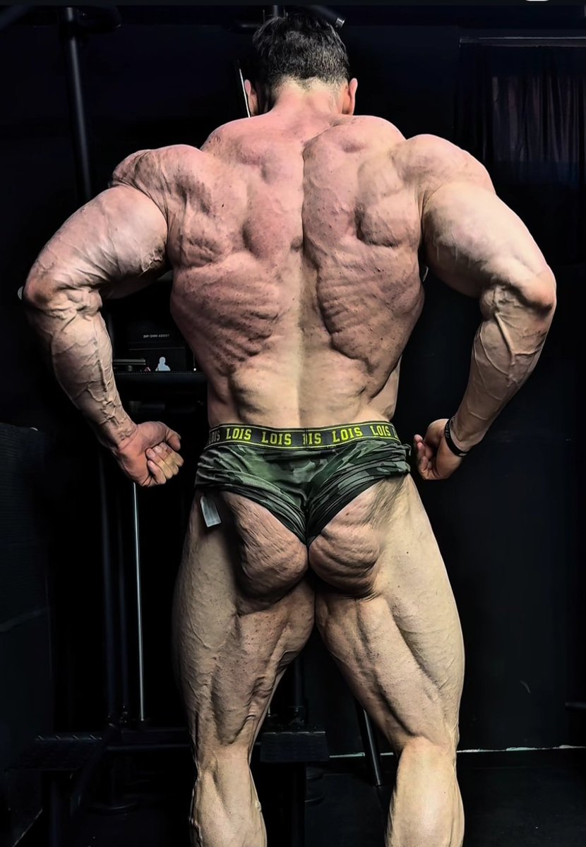 Dreamer InTheNight tweet media