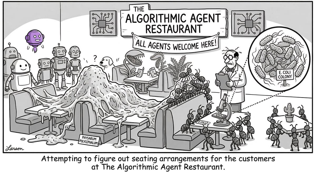 Giulio Ruffini tweet media