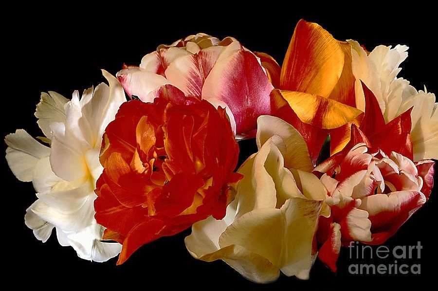 Alexander Vinogradov tweet media