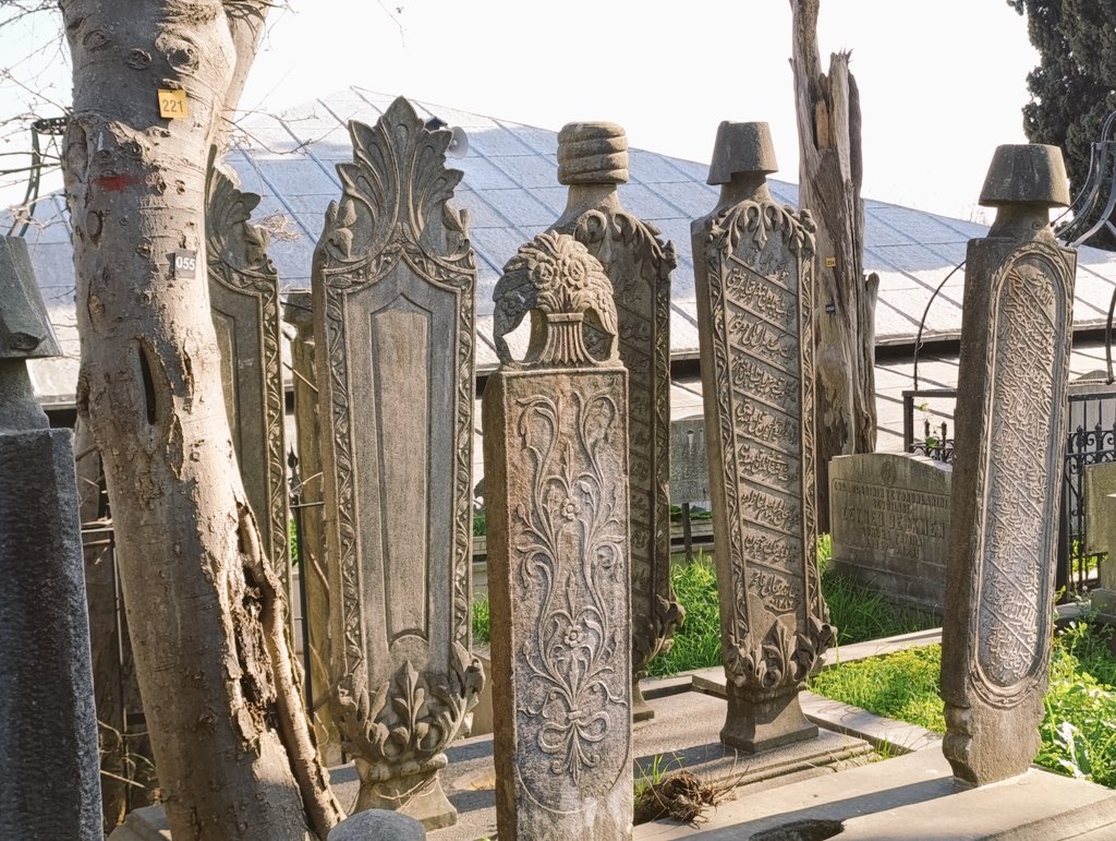 Fatih Dalgalı tweet media