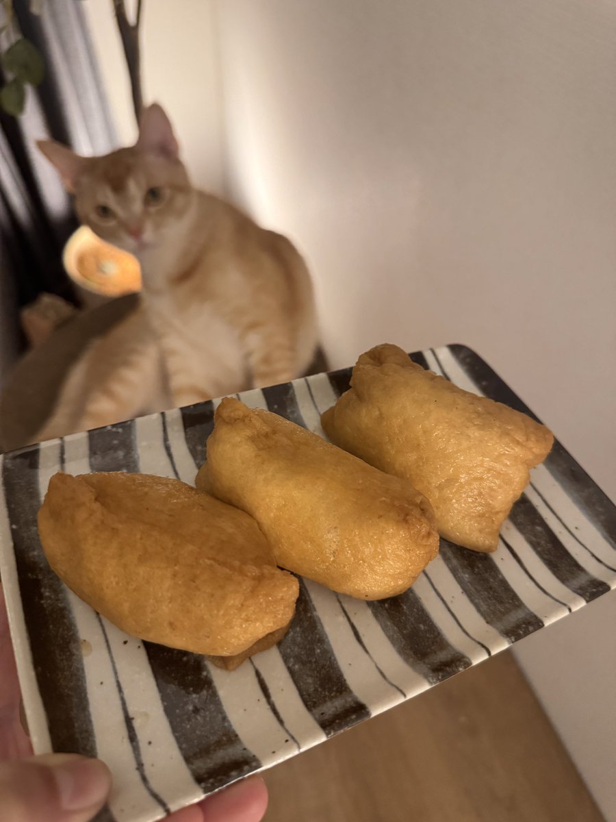 nonpedophile tweet media