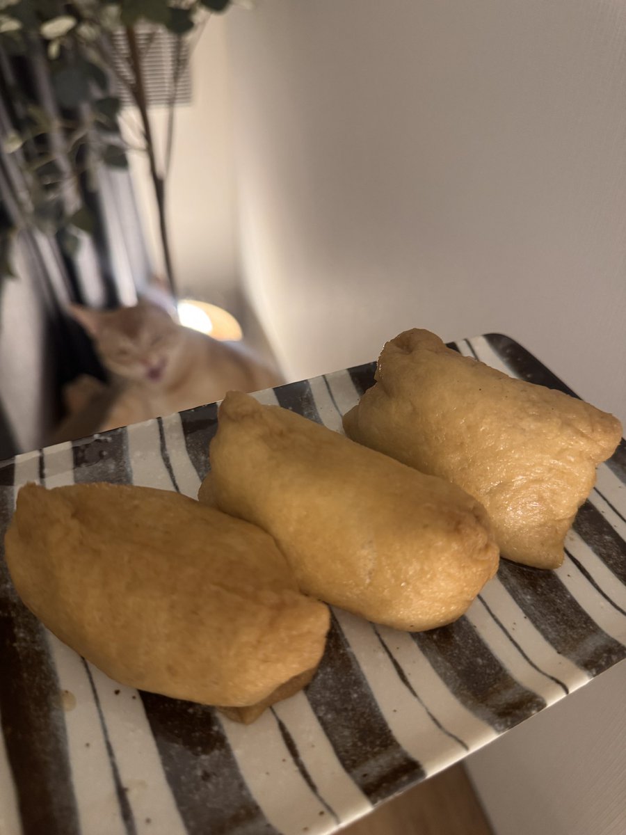 nonpedophile tweet media