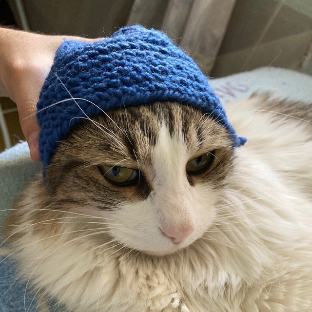 Ariel Alejandro tweet media