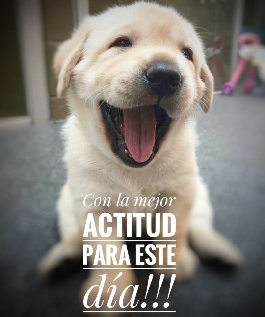 Yujuuuu bendecido #Lunes